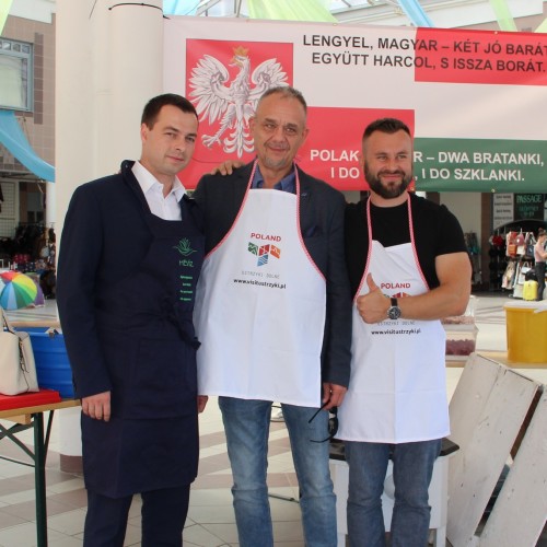 Promocja Ustrzyk Dolnych w Heviz