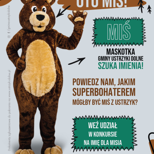 Szukamy imienia dla Misia - maskotki promocyjnej Gminy Ustrzyki Dolne