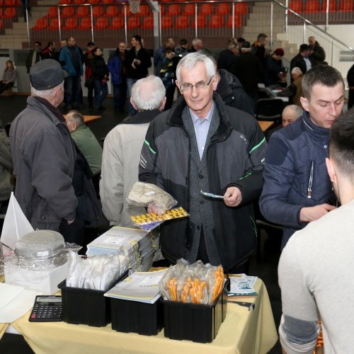 Warroza – główny problem hodowców pszczół