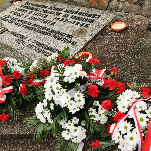 50-lecie Szkoły im. Bohaterów Lotnictwa w Ustjanowej Górnej