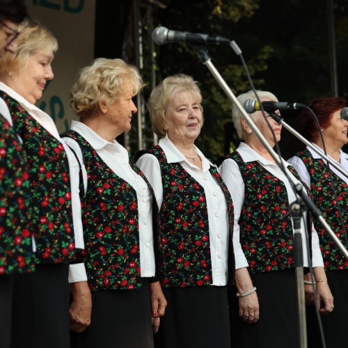 Dni Ustrzyk Dolnych 2022- dzień 1