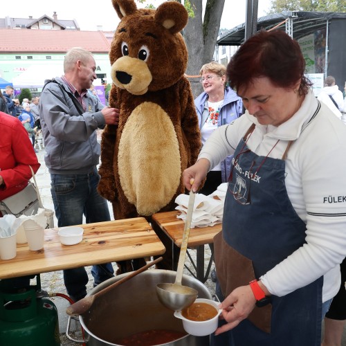 Dni Ustrzyk Dolnych 2022- dzień 6