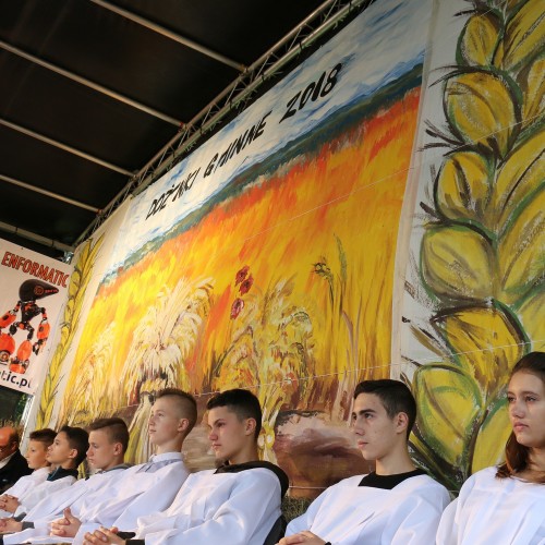Dożynki gminne 2019