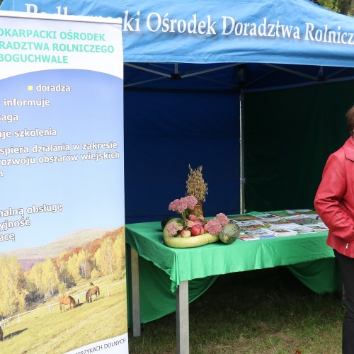 Dożynki gminne 2019