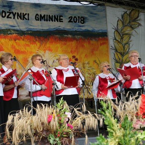 Dożynki gminne 2019