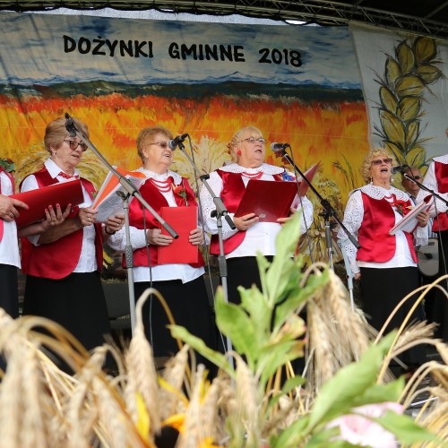Dożynki gminne 2019
