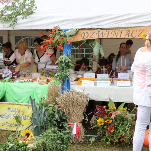 Dożynki gminne 2019