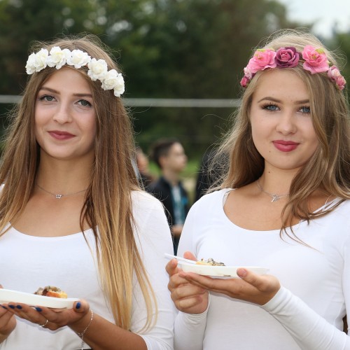 Dożynki gminne 2019