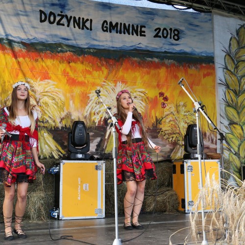 Dożynki gminne 2019