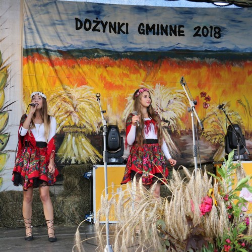 Dożynki gminne 2019