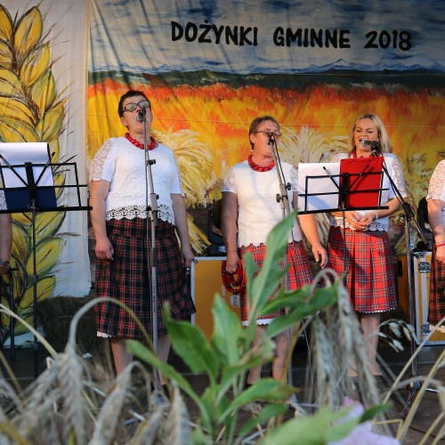 Dożynki gminne 2019
