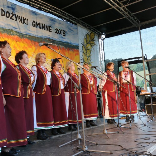 Dożynki gminne 2019