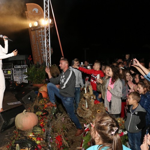 Dożynki gminne 2019