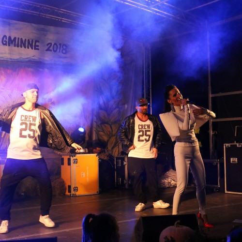 Dożynki gminne 2019