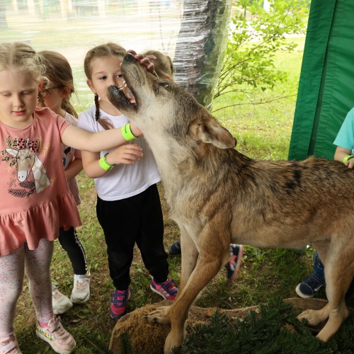 Dzień Dziecka w Gminie Ustrzyki Dolne