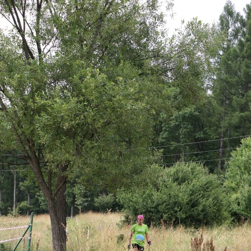 Górskie Mistrzostwa Europy Nordic Walking (sobota)