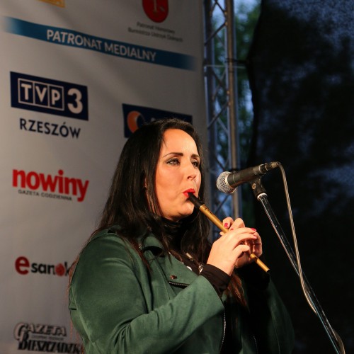 Górskie Mistrzostwa Europy Nordic Walking (sobota)