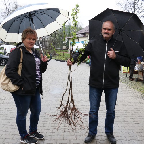 I Targi Ogrodnicze