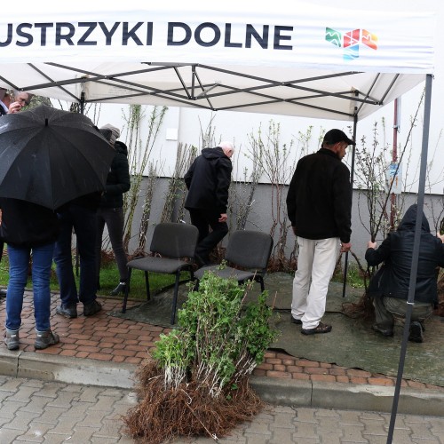 I Targi Ogrodnicze