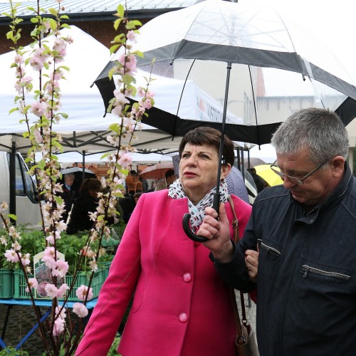 I Targi Ogrodnicze