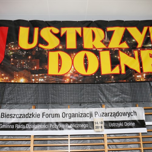 III Bieszczadzkie Forum Organizacji Pozarządowych