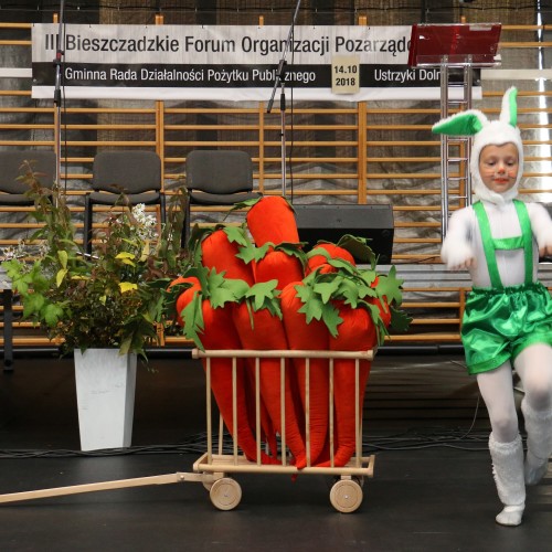 III Bieszczadzkie Forum Organizacji Pozarządowych