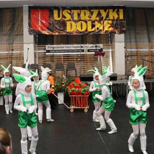 III Bieszczadzkie Forum Organizacji Pozarządowych