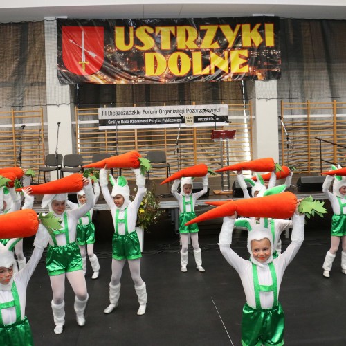 III Bieszczadzkie Forum Organizacji Pozarządowych