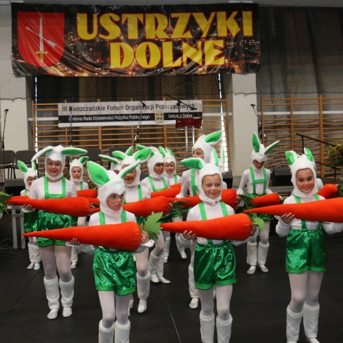 III Bieszczadzkie Forum Organizacji Pozarządowych