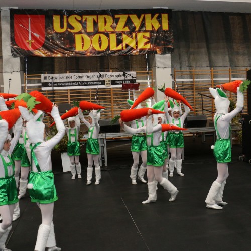 III Bieszczadzkie Forum Organizacji Pozarządowych