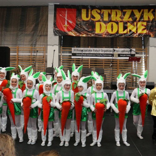 III Bieszczadzkie Forum Organizacji Pozarządowych