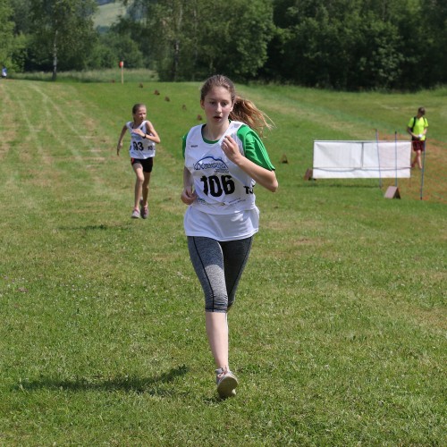 IV Bieszczadzki Bieg i Marsz Lotników 2019 cz. 1