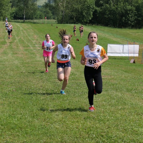 IV Bieszczadzki Bieg i Marsz Lotników 2019 cz. 1