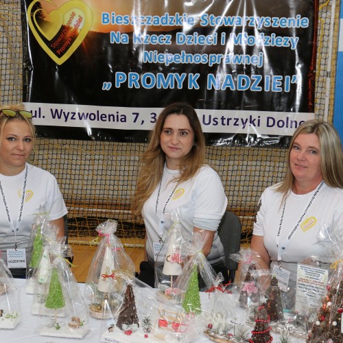 IV Bieszczadzkie Forum Organizacji Pozarządowych