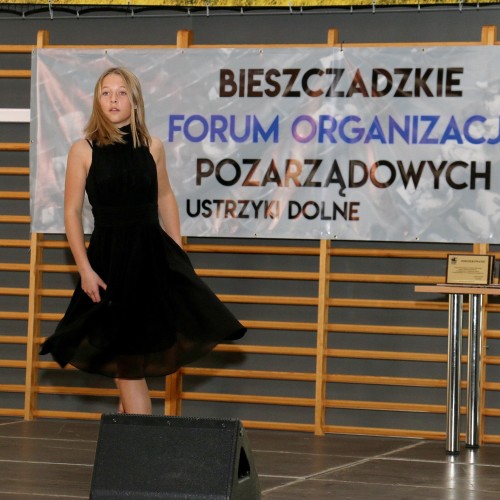 IV Bieszczadzkie Forum Organizacji Pozarządowych