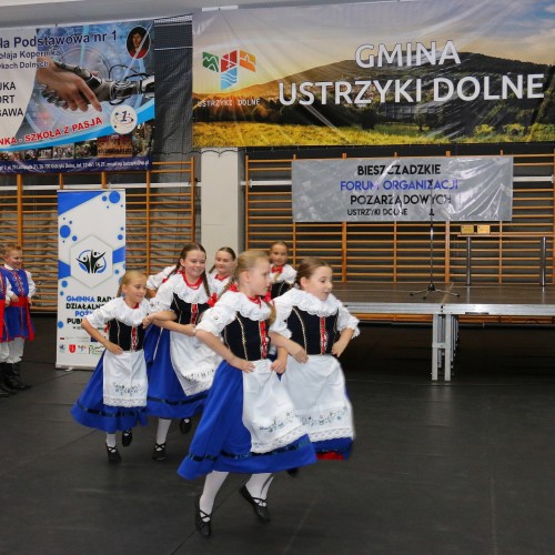 IV Bieszczadzkie Forum Organizacji Pozarządowych