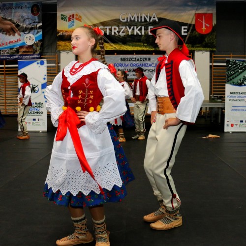 IV Bieszczadzkie Forum Organizacji Pozarządowych