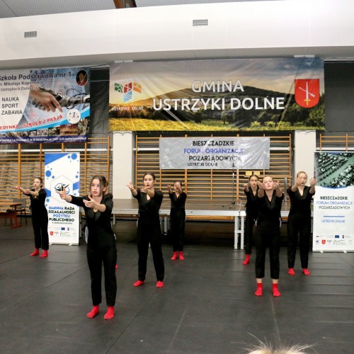 IV Bieszczadzkie Forum Organizacji Pozarządowych