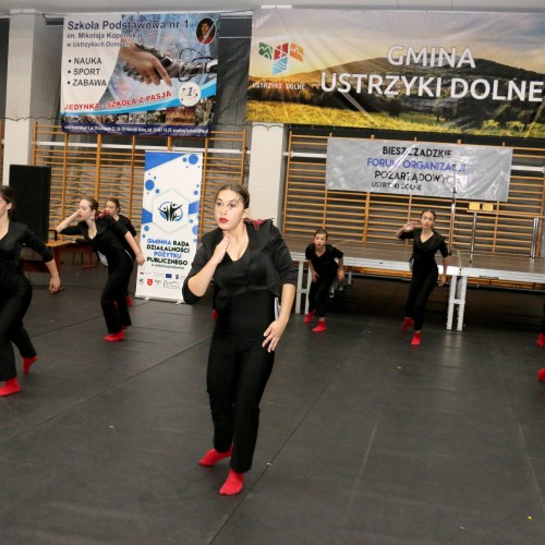 IV Bieszczadzkie Forum Organizacji Pozarządowych