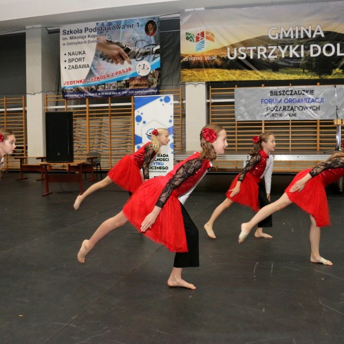 IV Bieszczadzkie Forum Organizacji Pozarządowych