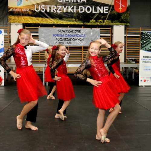 IV Bieszczadzkie Forum Organizacji Pozarządowych