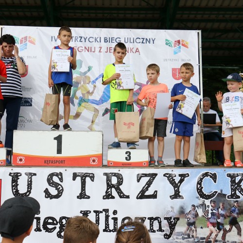 IV Ustrzycki Bieg Uliczny