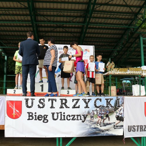 IV Ustrzycki Bieg Uliczny