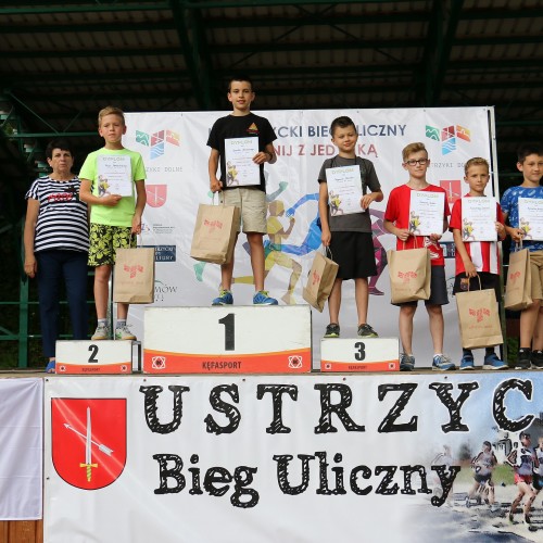 IV Ustrzycki Bieg Uliczny