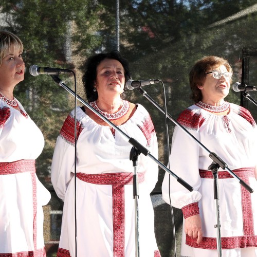 Ludowizna