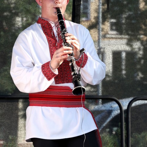 Ludowizna