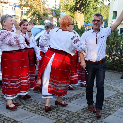 Ludowizna