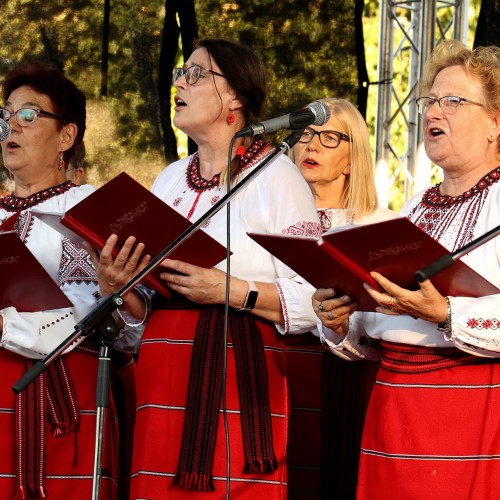 Ludowizna