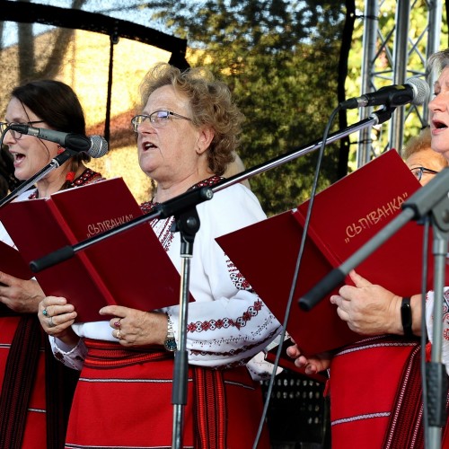 Ludowizna