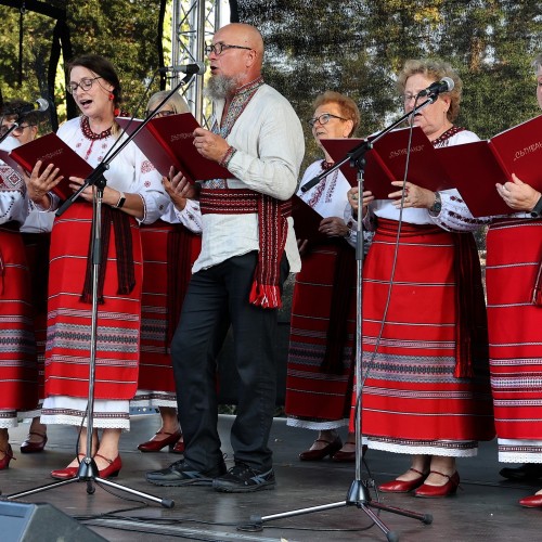 Ludowizna
